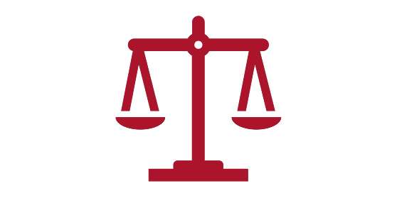 Pro-Lite Legal Icon